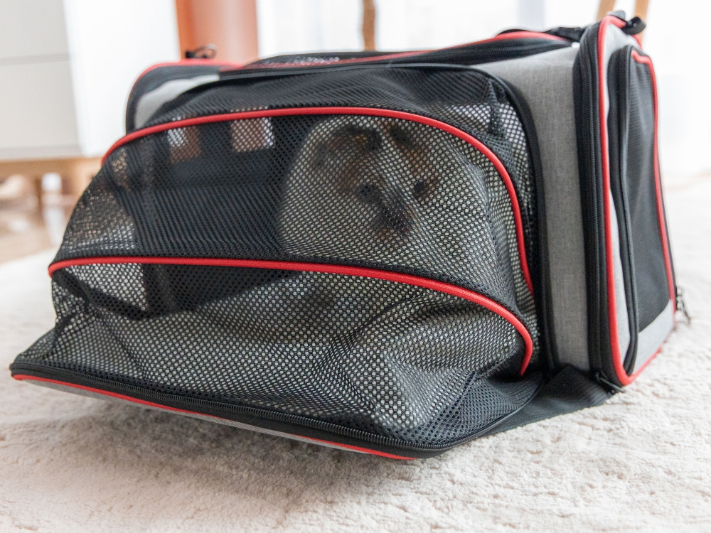 Peti-to-Travel Pet Carrier PETI-752-GR
