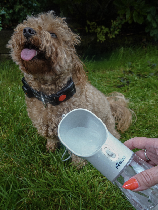 4in1 dog water bottle with food container and Peti-to-Go cleaning shovel