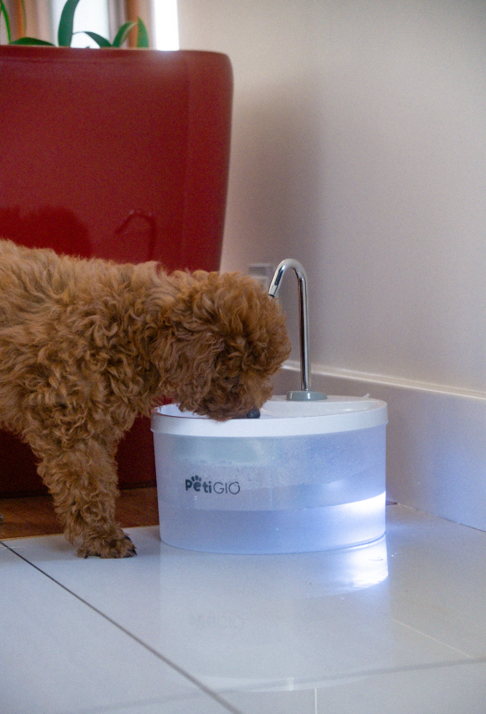 Smart Peti-to-Eat fountain/waterer for animals